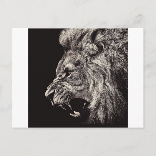 Angry Male Lion Postkarte (Vorderseite)