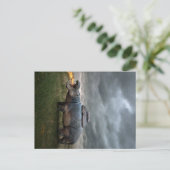 Angry Mother Hippo | Weihnachtsgeschenk Ankündigungspostkarte (Stehend Vorderseite)