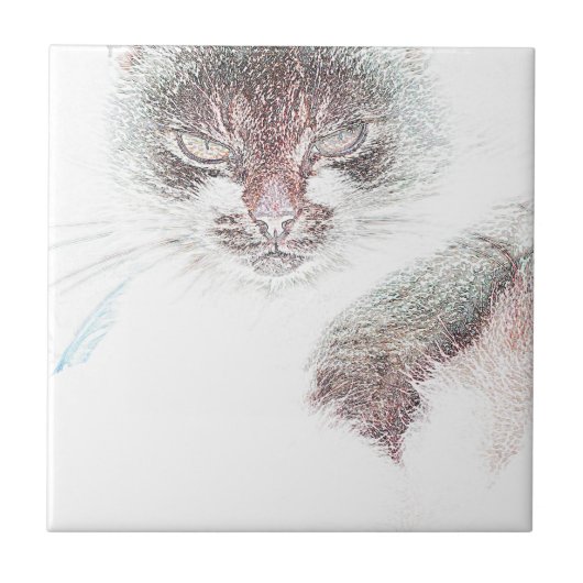 Angry Niedlich Cate Face Sketch Fliese (Vorderseite)