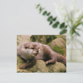 Angry Otter Postcard Postkarte (Stehend Vorderseite)