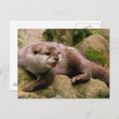 Angry Otter Postcard Postkarte (Vorne/Hinten)