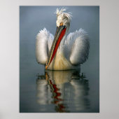 Angry Pelican L Poster (Vorne)