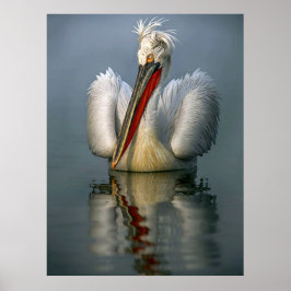 Angry Pelican L Poster