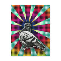 Angry Pigeon Postcard