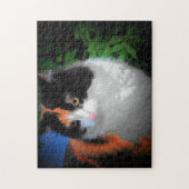 Angry Puma Puzzle (Vertikal)