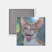 Angry Roo Magnet (Vorderseite/Rückseite)
