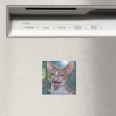 Angry Roo Magnet (In Situ (Geschirrspüler))