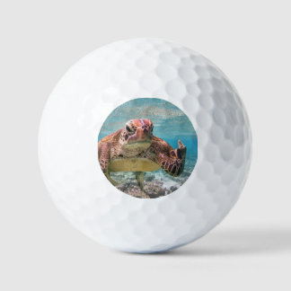 Angry-Schildkröte Golfball