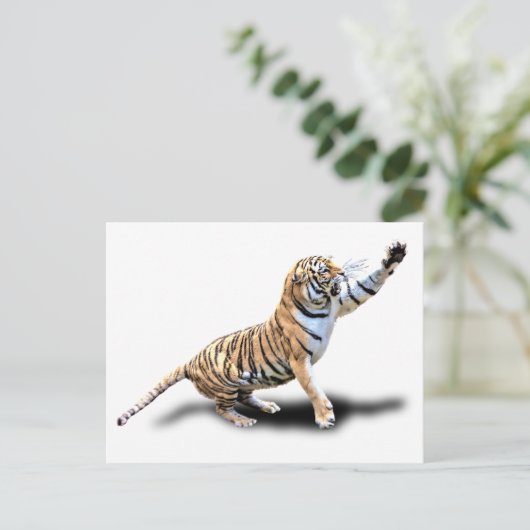 ANGRY TIGER POSTKARTE (Stehend Vorderseite)