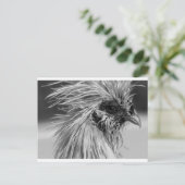 Angry Wet Silkie Chicken Postkarte (Stehend Vorderseite)