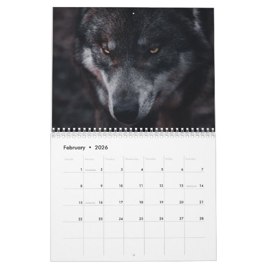 Angry Wolf Forest Kalender (Feb 2026)