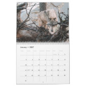 Angry Wolf Forest Kalender (Jan 2027)