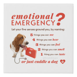 Angst - 54321 Countdown - Doctor Dog - Bassett Künstlicher Leinwanddruck