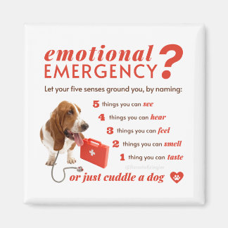 Angst - 54321 Countdown - Doctor Dog - Bassett Magnet