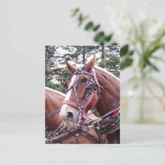 Angst Postkarte (Stehend Vorderseite)