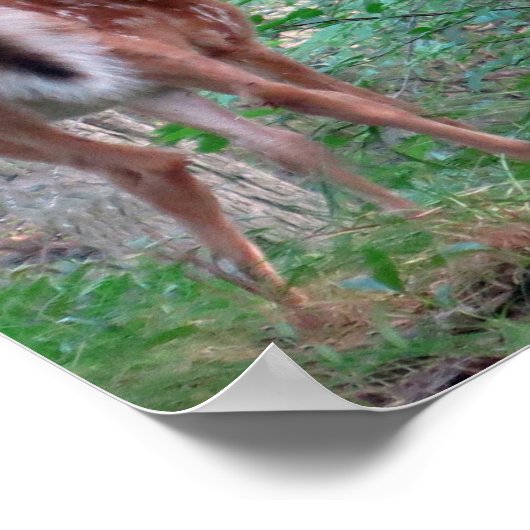 Angsthase Poster (Ecke)