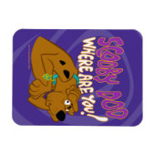 ängstlich Scooby-Doo Magnet (Horizontal)