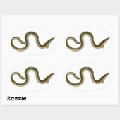 Anguilla anguilla ovaler aufkleber (Blatt)