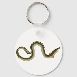 Anguilla anguilla schlüsselanhänger