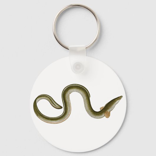 Anguilla anguilla schlüsselanhänger (Vorderseite)