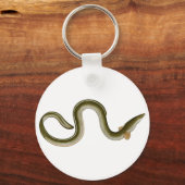 Anguilla anguilla schlüsselanhänger (Vorderseite)
