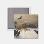 Anguisch: Schafe mit einem toten Lamm Magnet (Vorderseite/Rückseite)