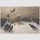 Anguisch: Schafe mit einem toten Lamm Seidenpapier (Vorderseite)