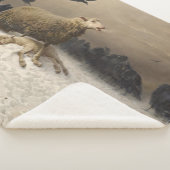 Anguisch: Schafe mit einem toten Lamm Sherpadecke (3/4)