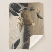 Anguisch: Schafe mit einem toten Lamm Sherpadecke (Vorderseite)