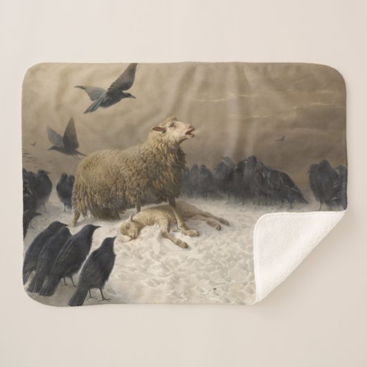 Anguisch: Schafe mit einem toten Lamm Sherpadecke (Vorderseite (Horizontal))