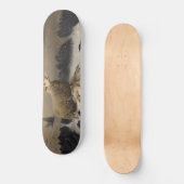 Anguisch: Schafe mit einem toten Lamm Skateboard (Vorderseite)