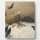 Anguisch von August Friedrich Albrecht Schenck 187 Fotoplatte (Vorderseite)