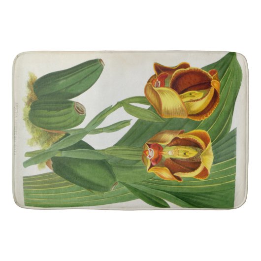 Anguloa Ruckerii Sanguine Lindenia Orchid Badematte (Vorderseite)