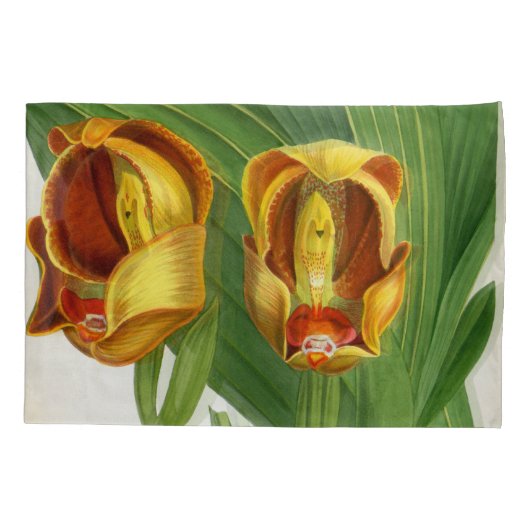 Anguloa Ruckerii Sanguine Lindenia Orchid Kissenbezug (Rückseite)