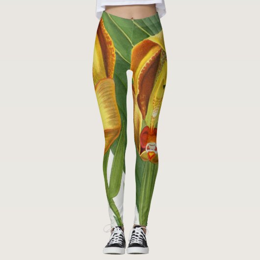 Anguloa Ruckerii Sanguine Lindenia Orchid Leggings (Vorderseite)