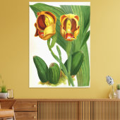 Anguloa Ruckerii Sanguine Lindenia Orchid Leinwanddruck (Insitu (Wohnzimmer))