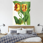 Anguloa Ruckerii Sanguine Lindenia Orchid Leinwanddruck (Insitu (Schlafzimmer))