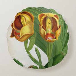 Anguloa Ruckerii Sanguine Lindenia Orchid Rundes Kissen