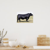 Angus Bull Portrait Poster Print (Küche)