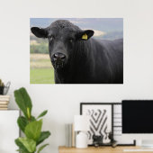 Angus-Bulle Poster (Heimbüro)