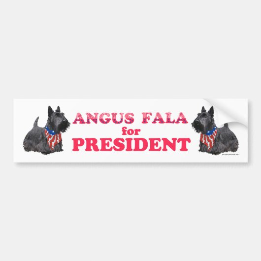 Angus Fala für PRÄSIDENT Autoaufkleber (Vorne)