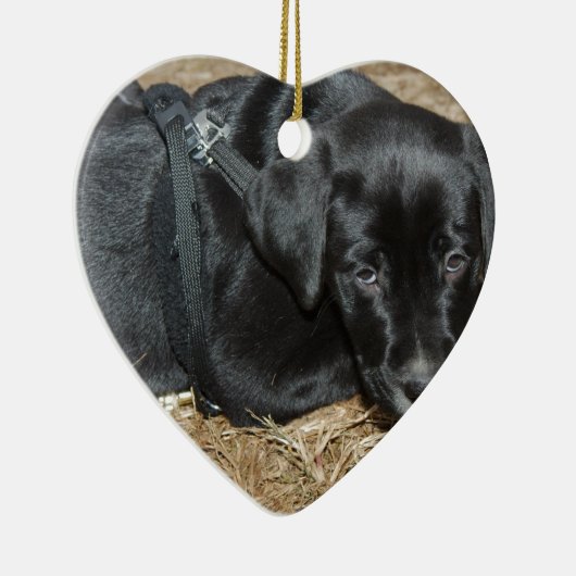 Angus Keramik Ornament (Rechts)