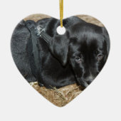 Angus Keramik Ornament (Vorne)