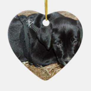 Angus Keramik Ornament