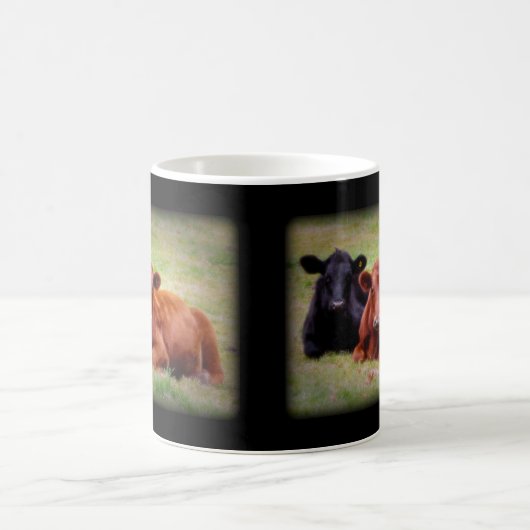 Angus-Liebe - Paar Vieh nebeneinander Kaffeetasse (Mittel)