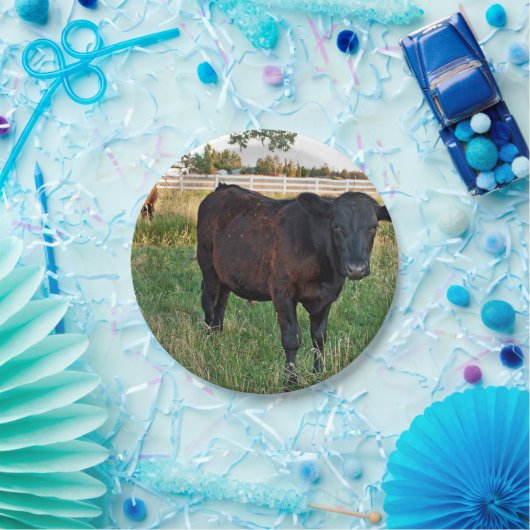 Angus-Ochse auf den grünen Gebieten Pappteller (Party)