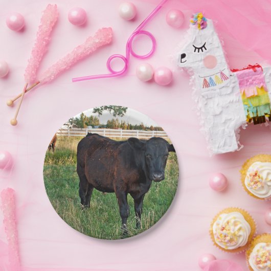 Angus-Ochse auf den grünen Gebieten Pappteller (Party)