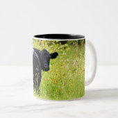 Angus-Ochse im hohen gelben Gras Zweifarbige Tasse (VorderseiteRechts)