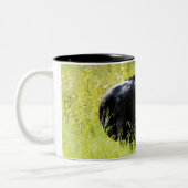 Angus-Ochse im hohen gelben Gras Zweifarbige Tasse (Links)