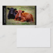 Angus-Vieh-Foto für Rindfleisch-Ranch oder Visitenkarte (Vorne/Hinten)